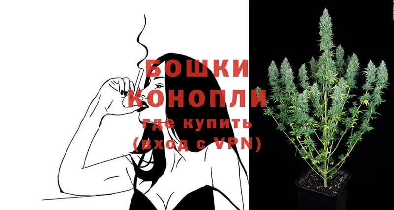 Конопля OG Kush  Сочи 